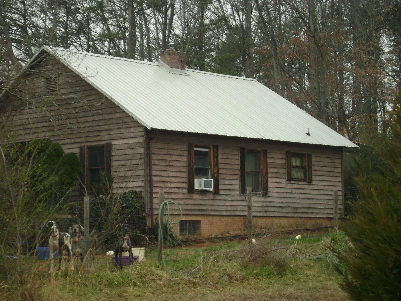 White metal roof on an old wood sided farmhouse, from a Asphalt Shingle Roof Repair job in Livingston